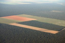 Pesquisadores demonstram como desmatamento na Amazônia altera chuvas