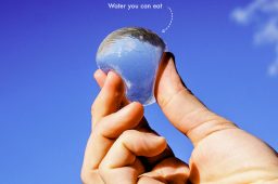 Esfera comestível de água pode substituir garrafas plásticas e reduzir poluição