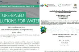 Os 7 principais documentos divulgados no 8º Fórum Mundial da Água